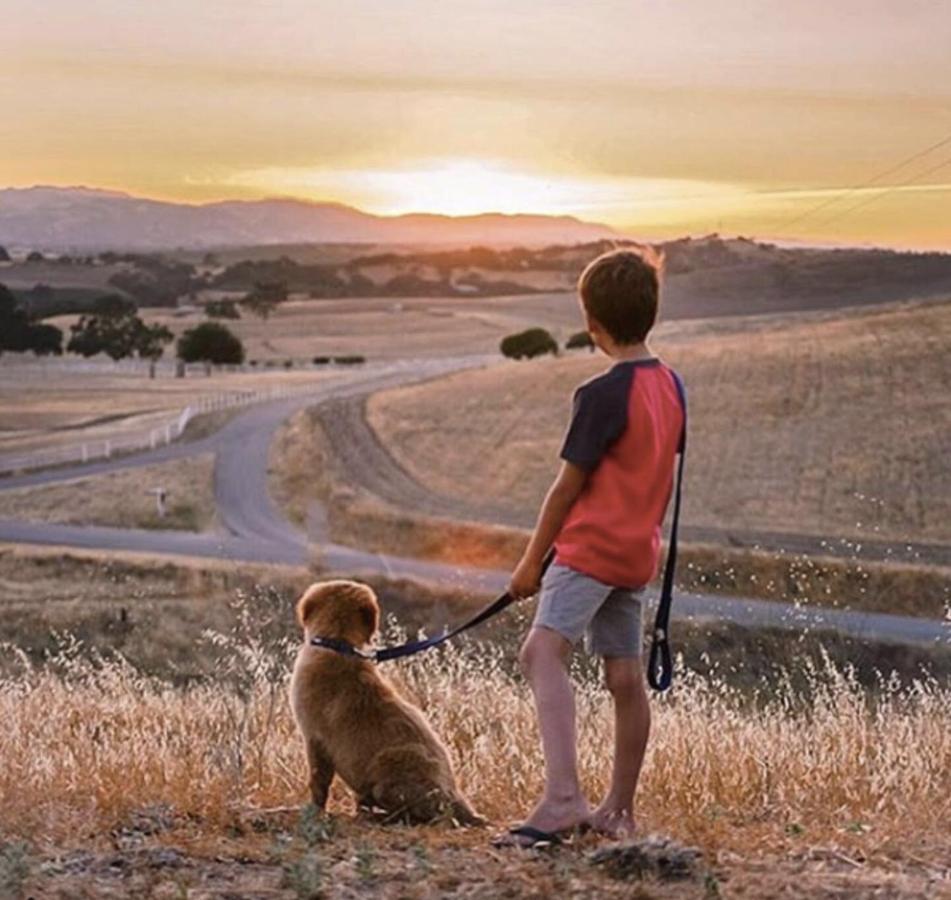 Vila Windwood Ranch Paso Robles Exteriér fotografie